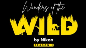 Nikon India and WWF-India Launch Wildlife Photography Contest