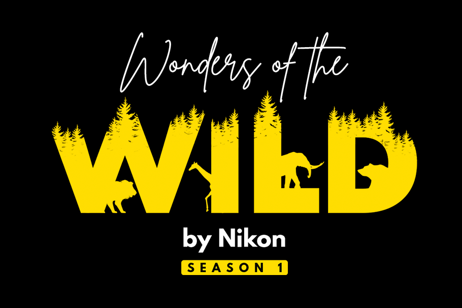 Nikon India and WWF-India Launch Wildlife Photography Contest