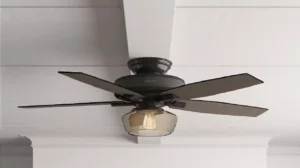 Top Ceiling Fan Brands in India March 2024 Picks