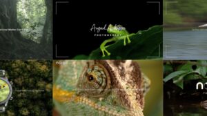 Noise Partners with Angad Achappa for Earth Day Biodiversity Campaign