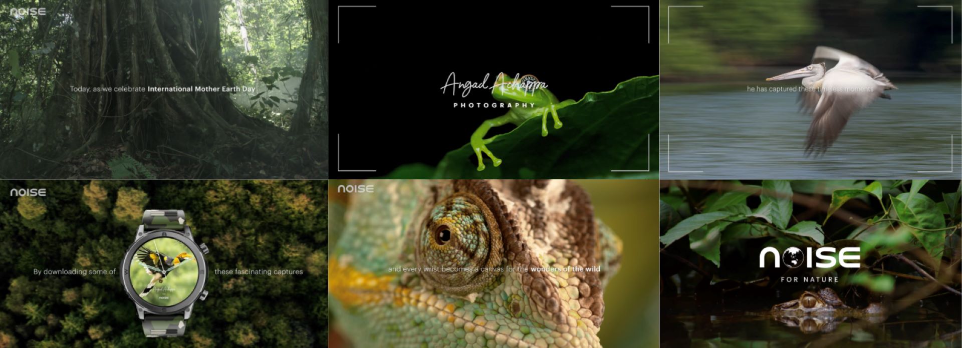 Noise Partners with Angad Achappa for Earth Day Biodiversity Campaign