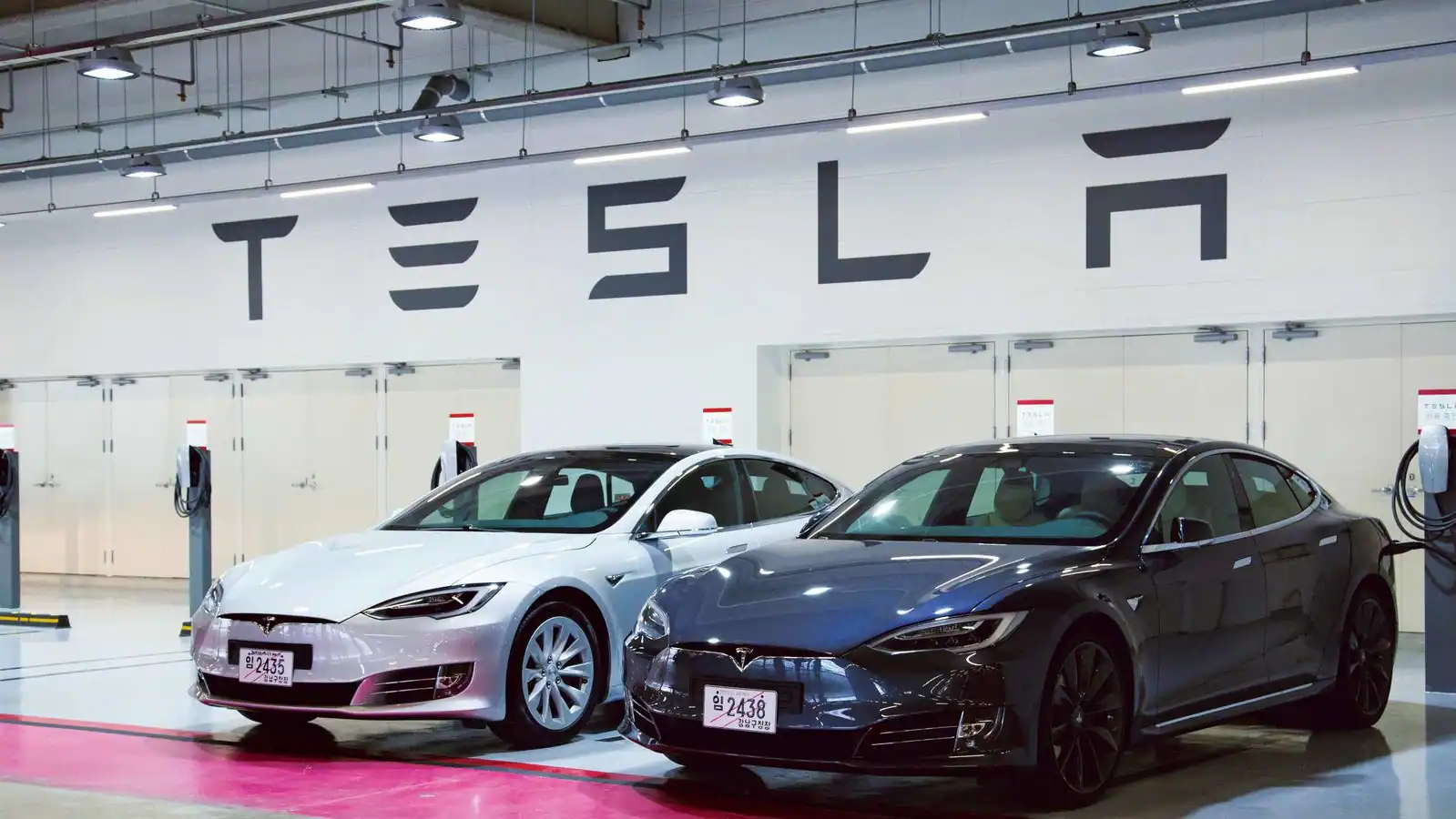 Tesla Sets Sights on India, Plans Showrooms in Major Cities