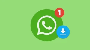 WhatsApp Video Woes