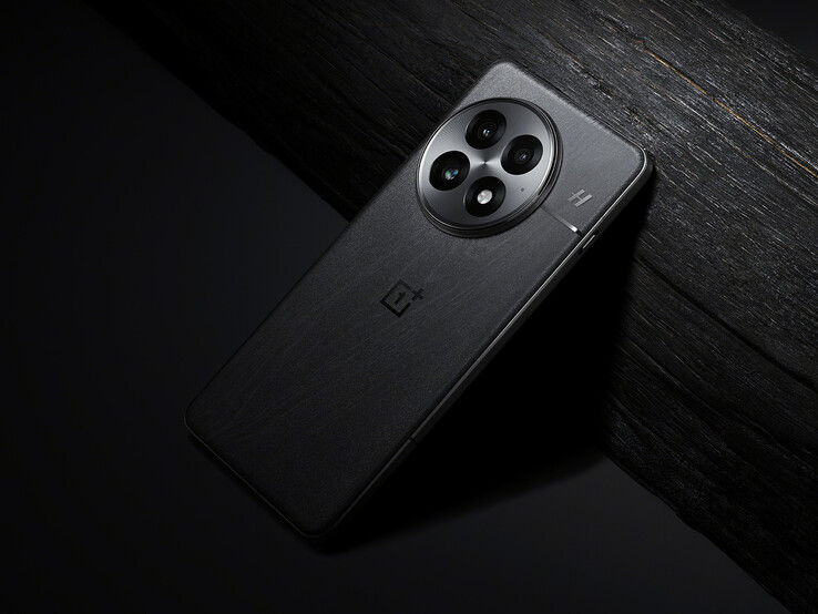 OnePlus 13