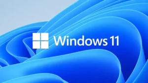 Windows 11 24H2 Update